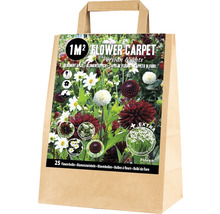 Blumenzwiebelmischung für einen Quadratmeter Blumenbeet im Papiersack