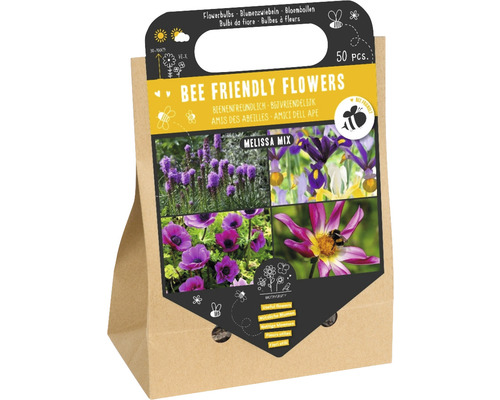 Blumenzwiebel- & Rhizom-Mischung 'Bienenfreundlich Melissa' mit Prachtscharte, Dahlie, Holländische Iris & Kronen-Anemone 50 Stk.