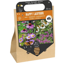 Blumenzwiebeln Happy Ladybug, 30 Stück