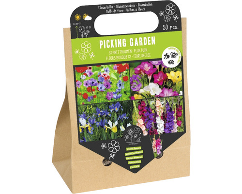 Blumenzwiebel- & Rhizom-Mischung 'Pflückgarten' mit Kronen-Anemone, Gartenfreesie, Holländische Iris & Gladiole 50 Stk.