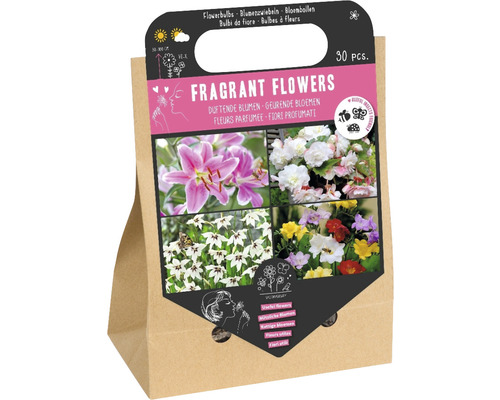 Blumenzwiebel- & Rhizom-Mischung 'Duftende Blumen' mit Lilie, Begonie, Sterngladiole & Gartenfreesie 30 Stk.