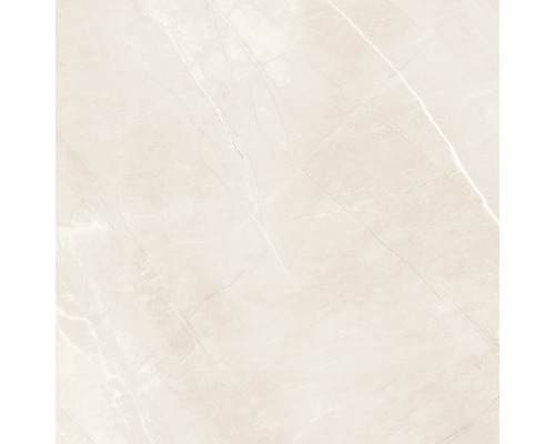 Marmorierte Fliese für den Innenbereich