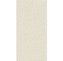 Detailaufnahme einer Bodenfliese mit Terrazzo Optik