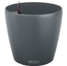 Dunkler Pflanztopf mit Bewässerungssystem