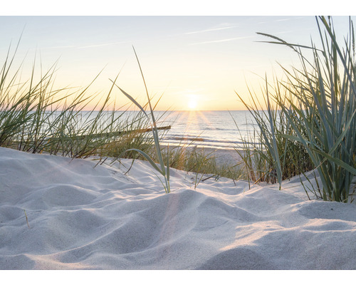 Strandlandschaft mit Sand und Gras im Gegenlicht der Sonne