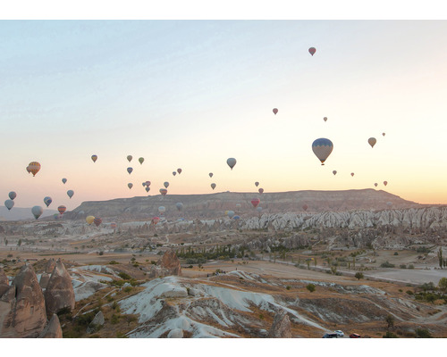 Landschaft mit vielen Heißluftballons am Himmel.