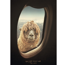 Dekoratives Poster mit einem Lama am Fenster eines Flugzeugs