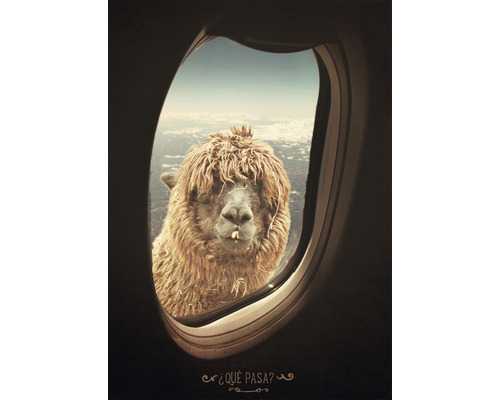 Dekoratives Poster mit einem Lama am Fenster eines Flugzeugs