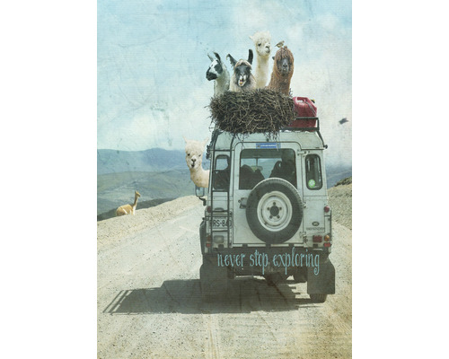 Postkarte Never Stop Exploring Ii 10,5x14,8 cm Ein Geländewagen auf einer unbefestigten Straße mit Lamas auf dem Dach und dem Schriftzug Never stop exploring.