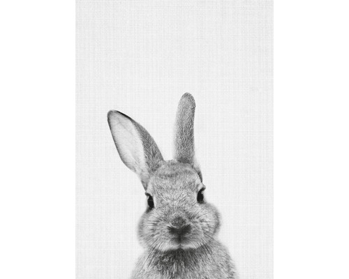 Porträt eines Hasen