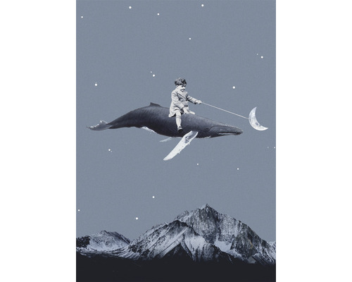 Illustration eines Jungen, der auf einem Wal reitet und mit einem Stock nach dem Mond greift, über einer Berglandschaft.