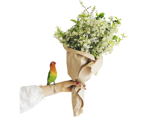 Hand hält einen Blumenstrauß mit Papier und einem kleinen Papagei