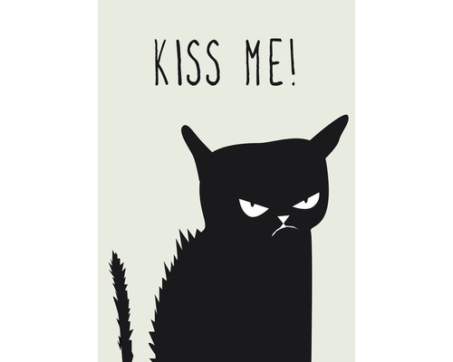 Postkarte Kiss Me Cat 10,5x14,8 cm Illustration einer grimmigen Katze mit der Aufschrift 'Küss mich!'
