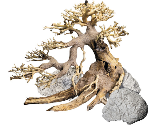 Aquariumdekoration DENNERLE Decor Box Bonsai, natürliches Dekorationsset für Aquarium, 1 x Bonsai Baum ca. 20 x 15 cm + 3 x Seegebirgsstein ca. 10 x 15 cm Aquariendekoration mit Wurzelholz und Steinen