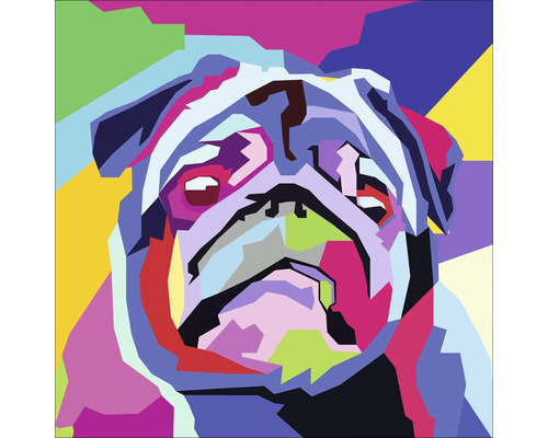 Glasbild Colored Pug 20x20 cm