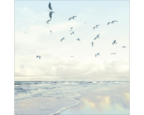 Glasbild Seagulls On The Beach 20x20 cm