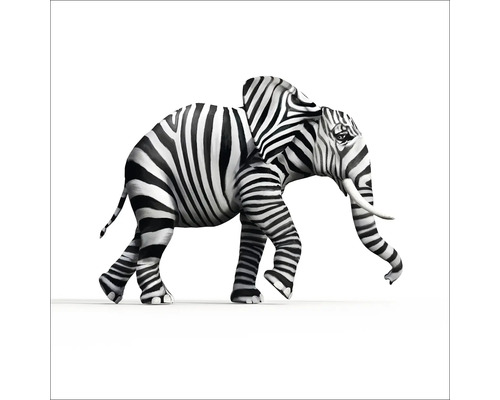 Glasbild Striped Elefant 20x20 cm