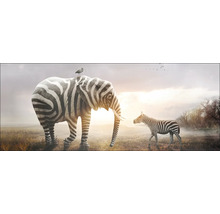 Illustration eines Elefanten mit Zebramuster und Vogel auf dem Rücken sowie einem Zebra im Hintergrund