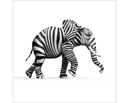 Glasbild Striped Elefant 50x50 cm