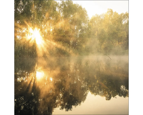 Glasbild Sun At The Pond 50x50 cm
