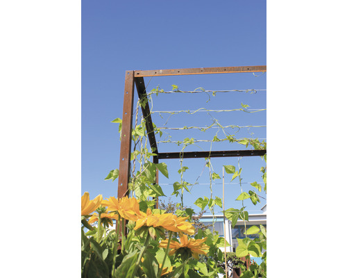 Metall Rankhilfe mit Kletterpflanzen und gelben Blumen