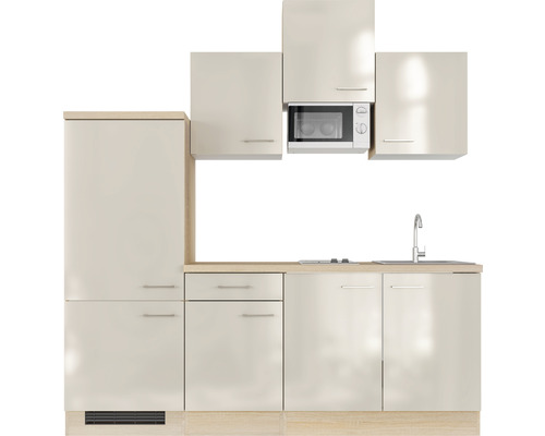 Küchenzeile mit Spüle, Armatur, Mikrowelle und Schränken