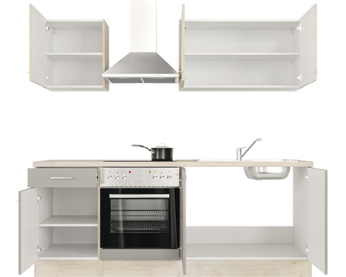 Küchenzeile mit Hängeschränken, Spüle, Herd, Backofen und Dunstabzugshaube