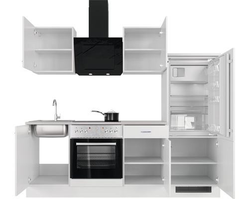 Komplette Küche mit Spüle, Kochfeld, Backofen, Dunstabzugshaube, Kühlschrank und Schränken