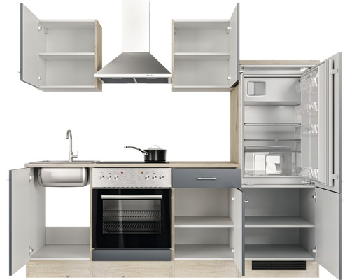 Komplette Küche mit Spüle, Kochfeld, Backofen, Kühlschrank und Dunstabzugshaube.