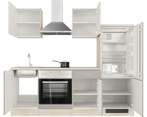 Komplette Küchenzeile mit Spüle, Herd, Backofen, Dunstabzugshaube, Kühlschrank und Schränken