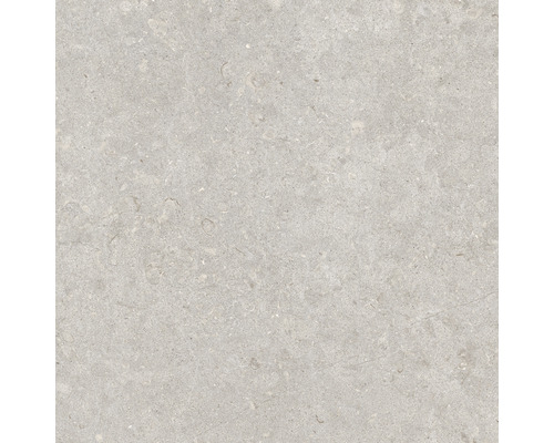 Feinsteinzeug Bodenfliese Ghent Floor 60x60 cm grau matt rektifiziert