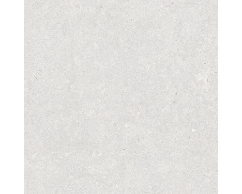 Feinsteinzeug Bodenfliese Ghent Floor 60x60 cm silber matt rektifiziert