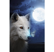 Porträt eines weißen Wolfs mit Schmetterling vor einem Nachthimmel