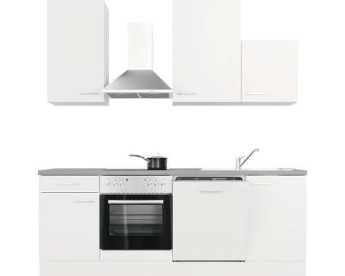 Weiße Einbauküche mit Spüle, Geschirrspüler, Herd, Ofen und Dunstabzugshaube.