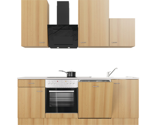 Küchenzeile mit Hängeschränken, Dunstabzugshaube, Spüle, Herd, Backofen und Geschirrspüler