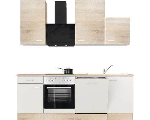 Küchenzeile mit Hängeschränken, Dunstabzugshaube, Herd, Spüle und Geschirrspüler