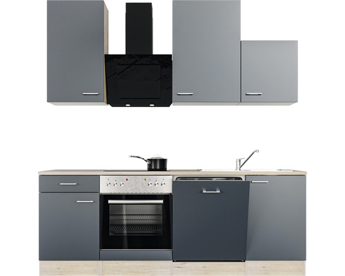 Küchenzeile mit Hängeschränken, Dunstabzugshaube, Spüle, Geschirrspüler und Herd