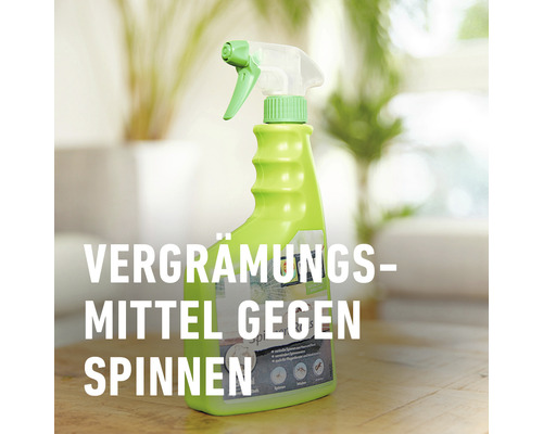 Spinnenabwehrmittel in Sprühflasche