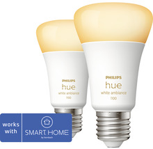 Zwei Philips Hue White Ambiance 1100 LED-Lampen mit Smart Home by Hornbach Kennzeichen