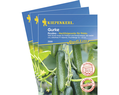Snack-Gurke 'Picolino F1' Gemüsesamen Kiepenkerl krankheitsresistent, 3er-Vorteils-Pack