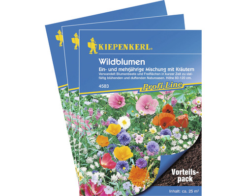 Blumenwiesensamen 'Wildblumen' Kiepenkerl Profi-Line, 3er-Vorteilspack für 75 m²