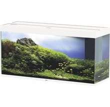 Aquarium mit Fischen, Pflanzen und Steinen