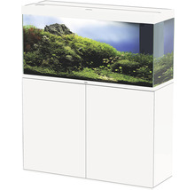 Aquarium mit Unterschrank und bepflanztem Innenraum