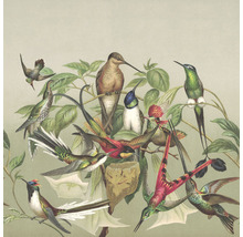 Illustration verschiedener Kolibris in ihrem natürlichen Lebensraum