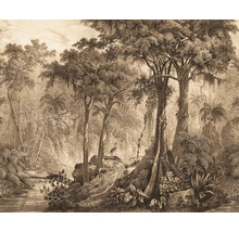 Illustration eines Dschungelwaldes mit Bäumen, Pflanzen und einem Fluss
