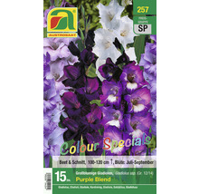 AUSTROSAAT Gladiolenmischung Colour Specials, enthält 15 Stück großblumige Gladiolen