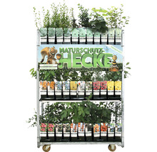 Verkaufsaufsteller mit verschiedenen Heckenpflanzen