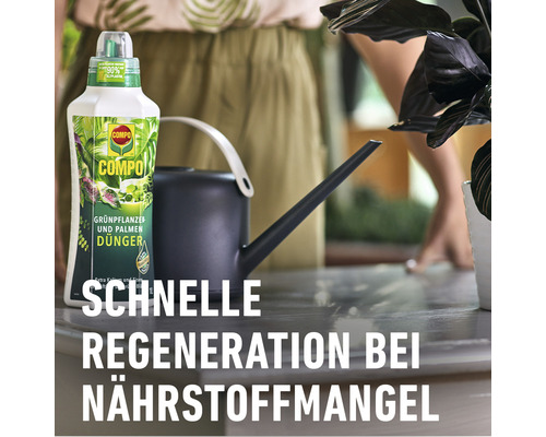 fugen saatgut Saatgut Fugenmischung  Trittfest & pflegearm  WildLand