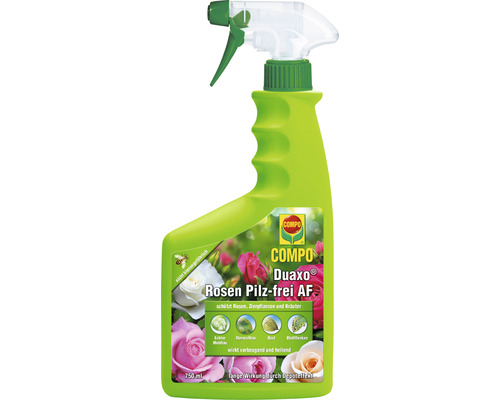 Rosen-Pilzfrei Compo Duaxo 750 ml Anwendungsfertiges Pumpspray Reg.Nr. 3345-903