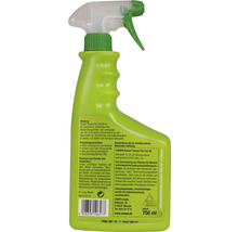 COMPO Rosen Pilzfrei AF Pflanzenschutzmittel in einer 750-Milliliter-Sprühflasche